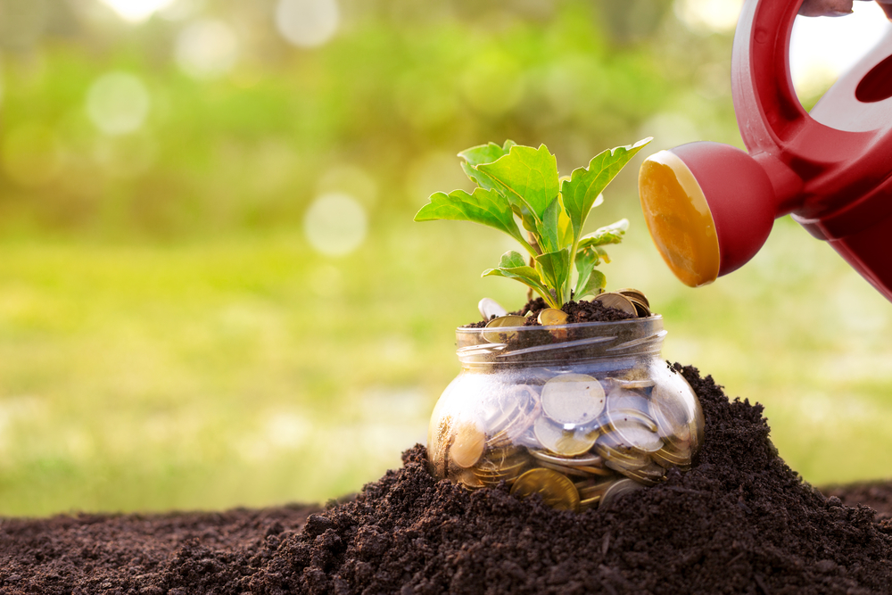 The Donor Experience: A Strategic Approach to Fundraising